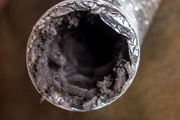 Best Commercial Air Duct Cleaning  in Braska City, NE