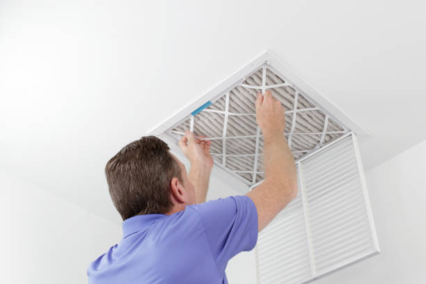 Best HVAC Maintenance and Cleaning  in Braska City, NE